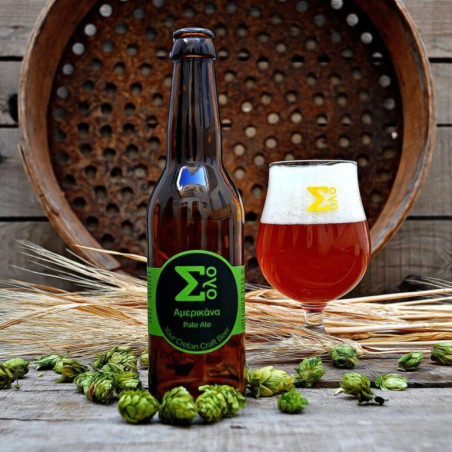 ΣΟΛΟ ΑΜΕΡΙΚΑΝΑ PALE ALE 0.33lt