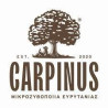 CARPINUS